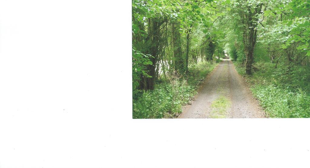 Brynhonddu Country House B&B 阿伯加文尼 外观 照片